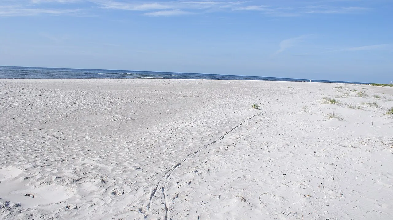 Dueodde beach Bornholm