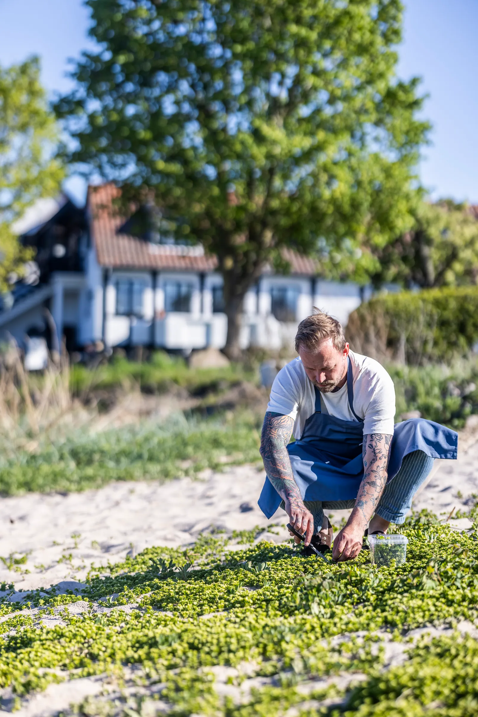 Lokale råvarer til morgenmad på Allinge Badehotel