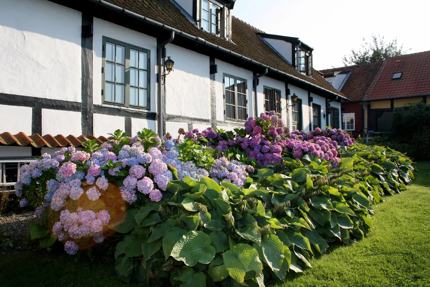 Haven med havudsigt på Allinge Badehotel